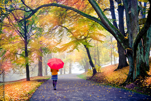 Photo: park in fall park in fall