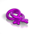 FF Pink