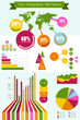 Vector infographic elements set big