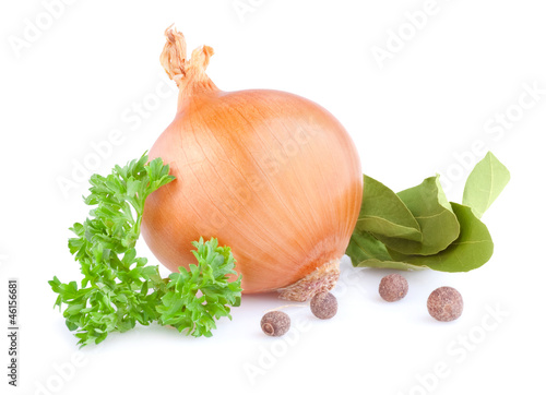 Photo: Fresh gold onions, pimento, parsley and bay leaves isolated on w Fresh gold onions, pimento, parsley and bay leaves isolated on w