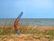 Color boomerang on overgrown sandy beach.