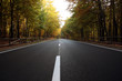 Road in the woods with autumn fall colors