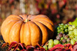 Harvested pumpkins with grapes and fall leaves