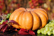 Harvested pumpkins with grapes and fall leaves