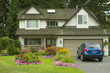 Manicured Yard
