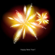 Vector Fireworks