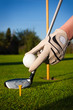 beauty  girl play golf