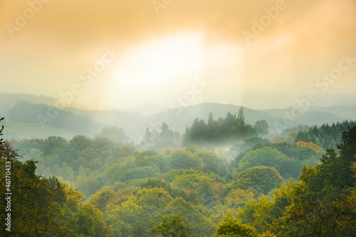Photo: Nebelwald Nebelwald