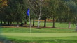 Golf 7