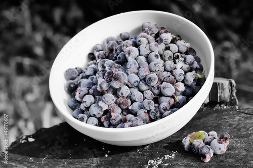 Photo: Frozen Bilberries on Tree Stump on Black and White Background Frozen Bilberries on Tree Stump on Black and White Background