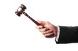 Photo: auctioneer auctioneer