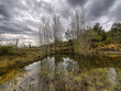 Invierno en la montaña