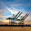 Cargo sea port. Sea cargo cranes. Sea.