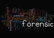 24 Who uses forensic accountants
