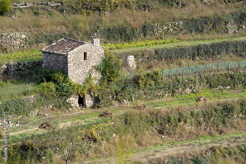 Photo: Paysage de campagne Paysage de campagne