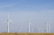 wind energy