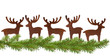 Weihnachtshirsche