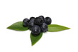 Foto: Blueberries Blueberries