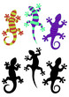 Gecko