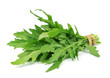 Rucola leaves