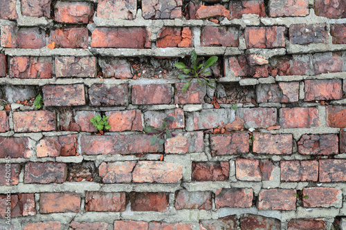 Photo: Very old wall Very old wall