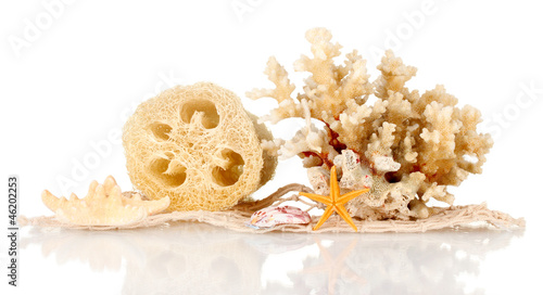 Photo: Loofah isolated on white Loofah isolated on white