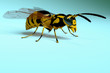 Wasp Render