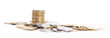 isolated on white background varied in size penny