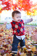 Photo: Cute Boy Playing in Leaves Cute Boy Playing in Leaves