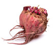 fresh beetroot isolated on white background