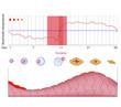 Fertility chart, eps10