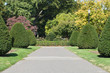 Photo: Boston Public Garden Boston Public Garden