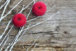 Foto: Weihnachtsschmuck, Äpfel Weihnachtsschmuck, Äpfel
