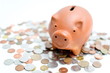 Piggy bank