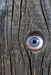 I'm watching you