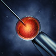Illustration: Intracytoplasmic sperm injection , 3d illustration Intracytoplasmic sperm injection , 3d illustration