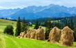 Summer mountain country view