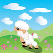 Sheep