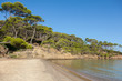 Foto: Notre Dame beach in Porquerolles island in France Notre Dame beach in Porquerolles island in France