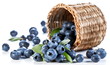 Blueberries fall of the basket.