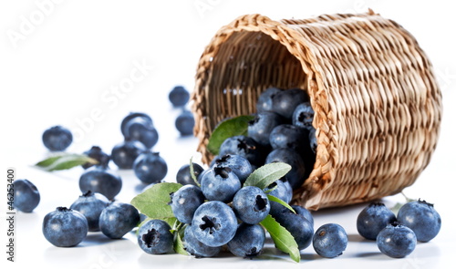 Photo: Blueberries fall of the basket. Blueberries fall of the basket.