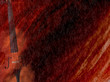 rosso violino
