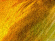 Illustration: fondo giallo fondo giallo