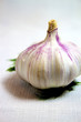 Garlic 2