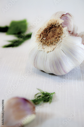 Photo: Garlic 1 Garlic 1