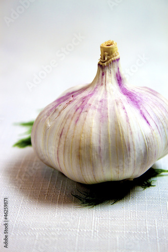 Photo: Garlic 2 Garlic 2