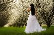 sposa in passeggiata