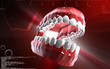 Teeth