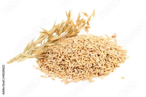 Photo: Whole Oats with Ears Isolated on White Background Whole Oats with Ears Isolated on White Background