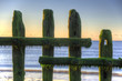 Old groynes on beach last defense at sunrise against tide